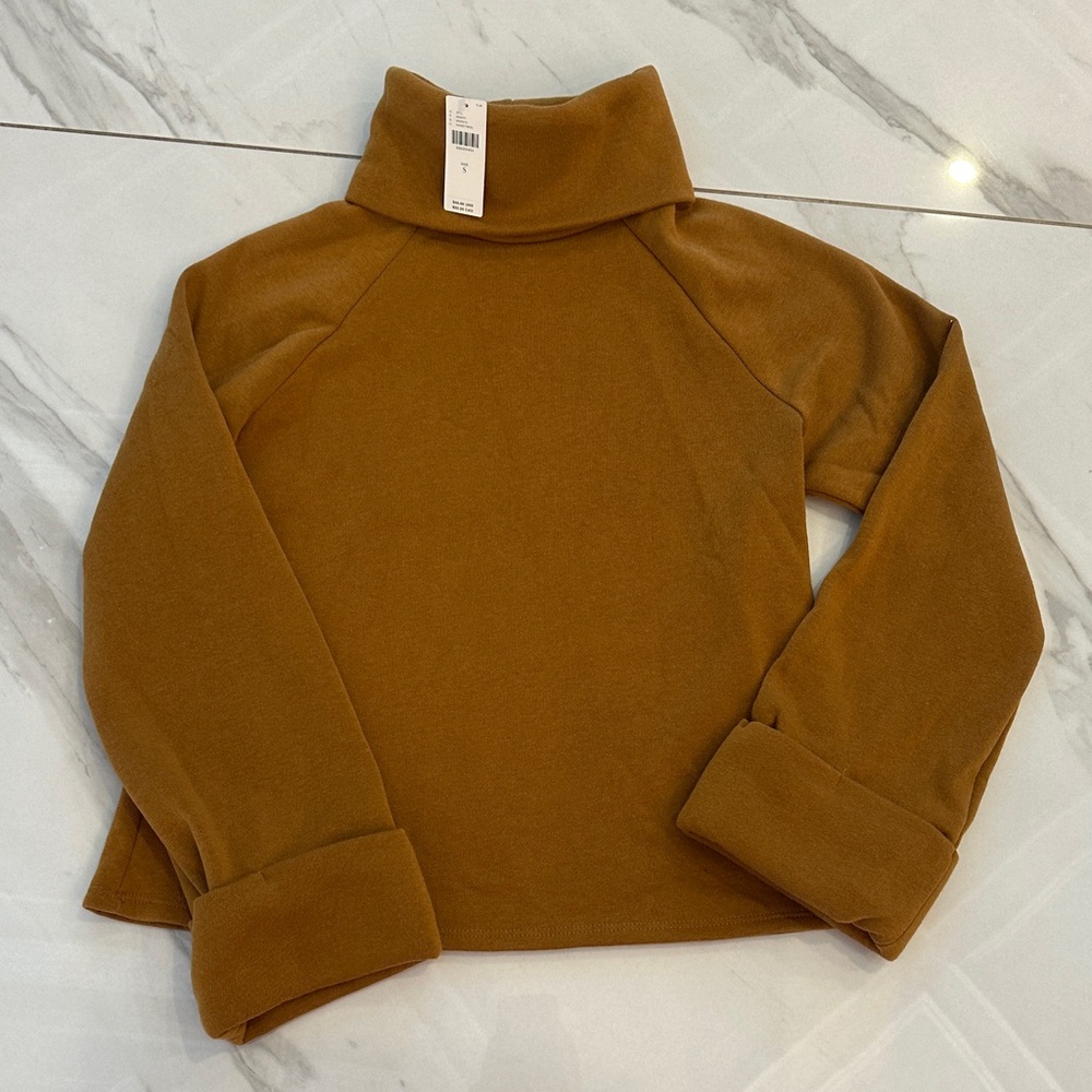Brown Turtleneck Sweater